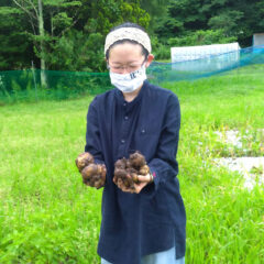 新・芋のような人でありたい宣言